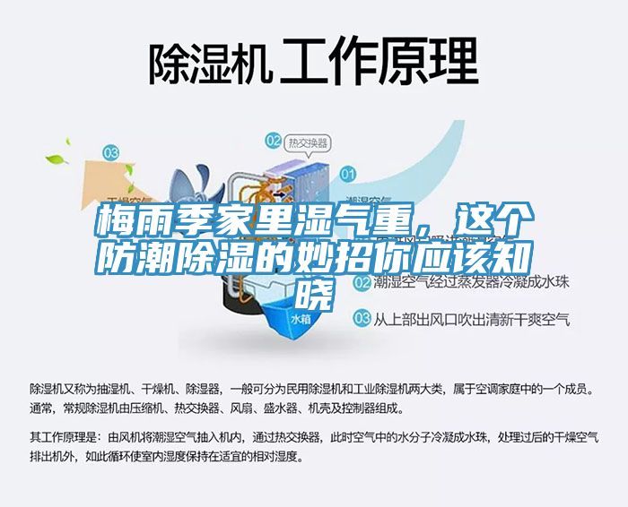 梅雨季家里濕氣重，這個防潮除濕的妙招你應該知曉
