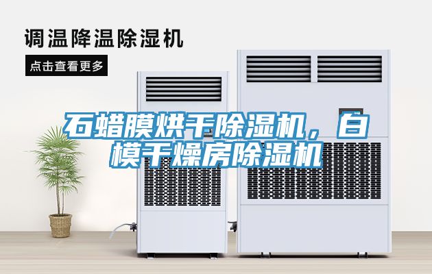 石蠟?zāi)ず娓沙凉駲C(jī),白模干燥房除濕機(jī)