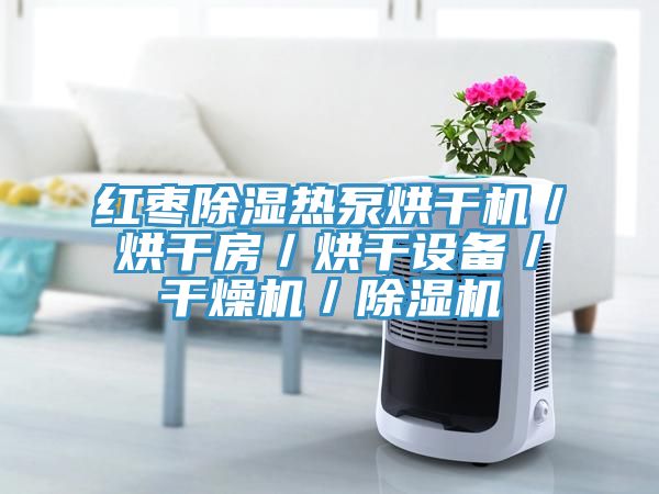 紅棗除濕熱泵烘干機/烘干房/烘干設備/干燥機/除濕機
