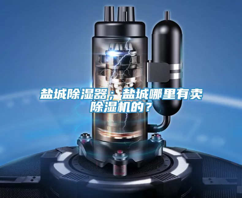 鹽城除濕器；鹽城哪里有賣除濕機的？