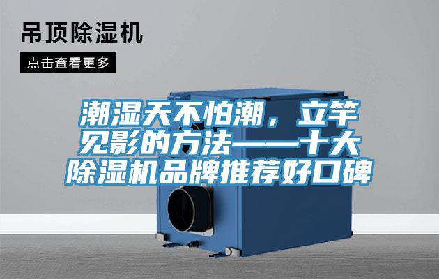 潮濕天不怕潮，立竿見影的方法——十大除濕機(jī)品牌推薦好口碑