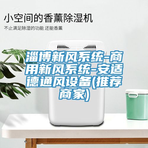 淄博新風系統(tǒng)-商用新風系統(tǒng)-安適德通風設備(推薦商家)