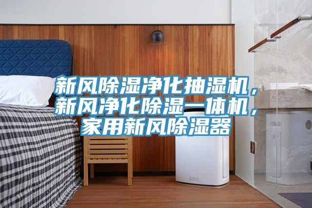 新風除濕凈化抽濕機，新風凈化除濕一體機，家用新風除濕器