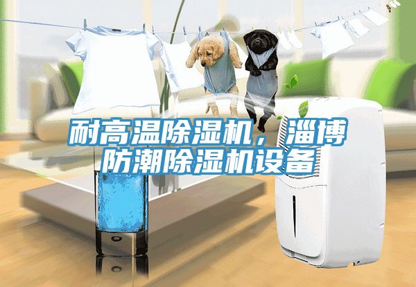 耐高溫除濕機，淄博防潮除濕機設備