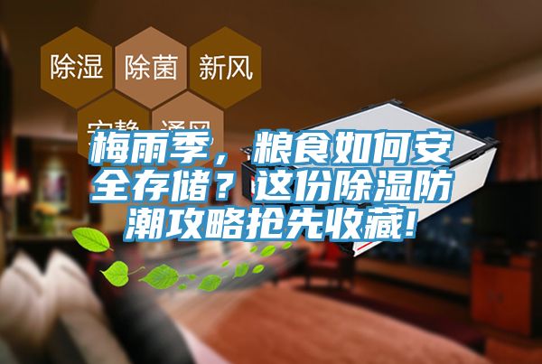 梅雨季，糧食如何安全存儲？這份除濕防潮攻略搶先收藏!