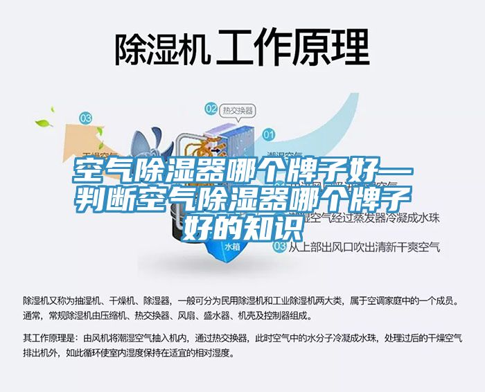 空氣除濕器哪個牌子好—判斷空氣除濕器哪個牌子好的知識