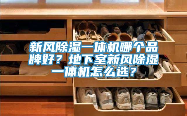 新風除濕一體機哪個品牌好？地下室新風除濕一體機怎么選？