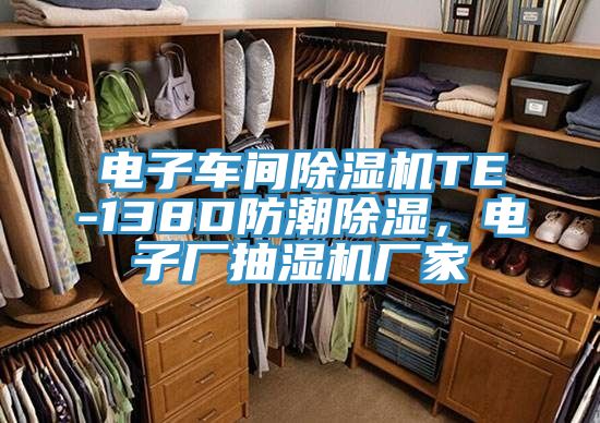 電子車間除濕機(jī)TE-138D防潮除濕，電子廠抽濕機(jī)廠家