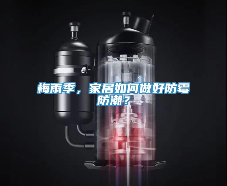 梅雨季，家居如何做好防霉防潮？