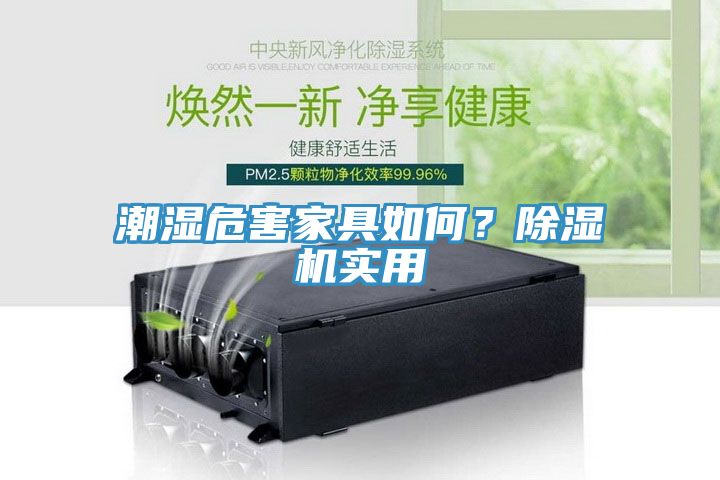 潮濕危害家具如何？除濕機(jī)實(shí)用
