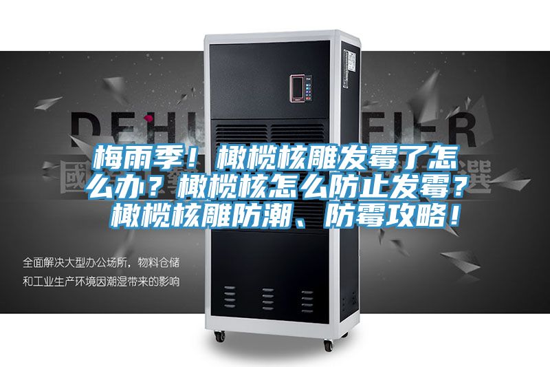梅雨季！橄欖核雕發(fā)霉了怎么辦？橄欖核怎么防止發(fā)霉？ 橄欖核雕防潮、防霉攻略！