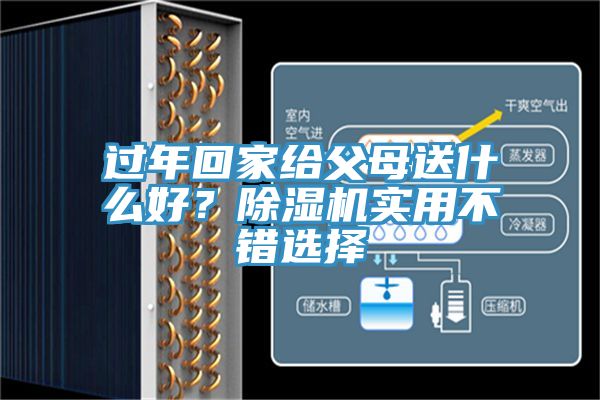 過年回家給父母送什么好？除濕機實用不錯選擇