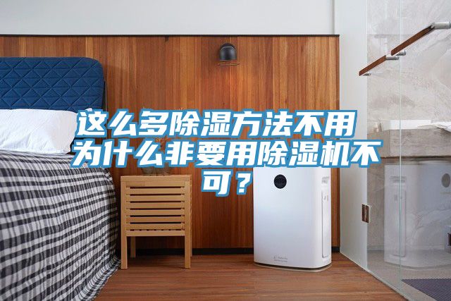這么多除濕方法不用 為什么非要用除濕機(jī)不可？