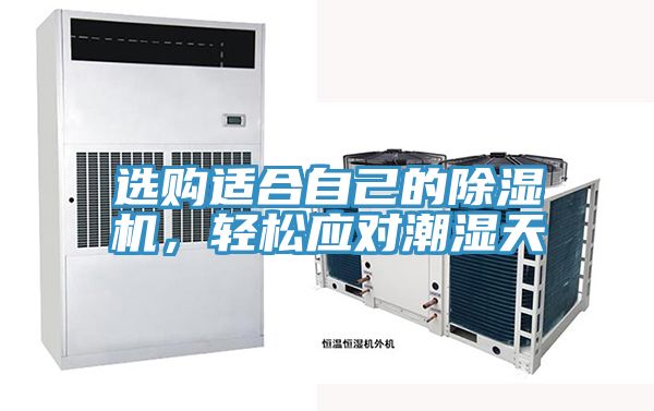 選購適合自己的除濕機，輕松應對潮濕天