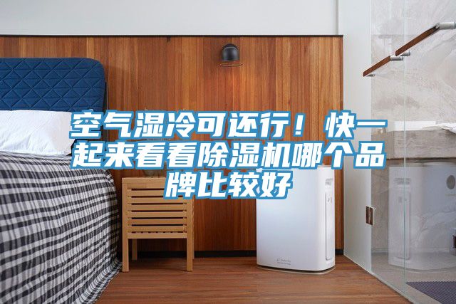 空氣濕冷可還行！快一起來看看除濕機哪個品牌比較好