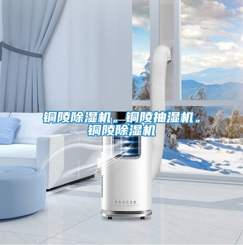 銅陵除濕機。銅陵抽濕機。銅陵除濕機