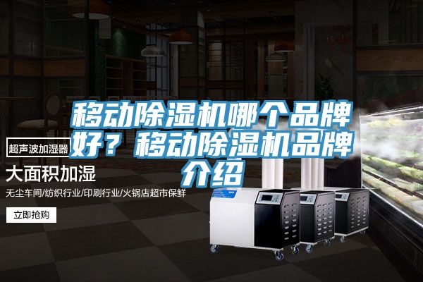 移動除濕機哪個品牌好？移動除濕機品牌介紹