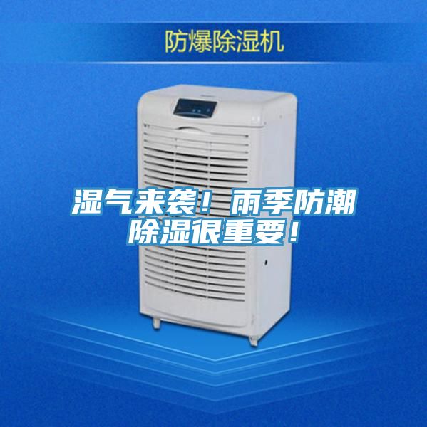 濕氣來襲！雨季防潮除濕很重要！