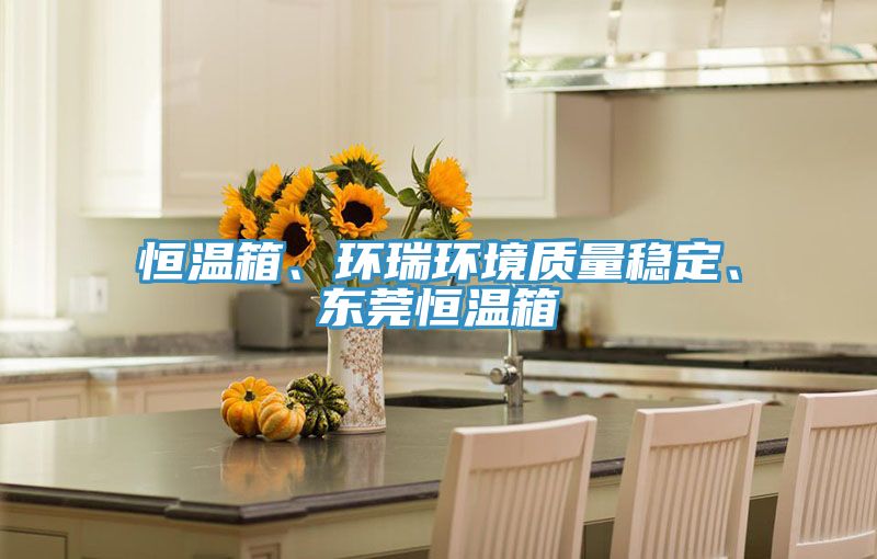 恒溫箱、環瑞環境質量穩定、東莞恒溫箱