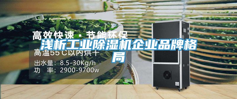 淺析工業除濕機企業品牌格局