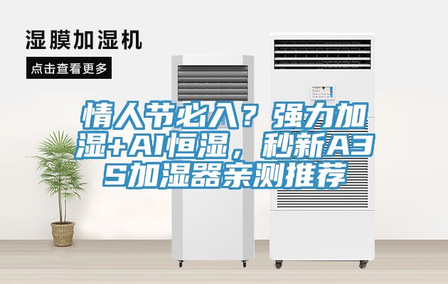 情人節必入？強力加濕+AI恒濕，秒新A3S加濕器親測推薦