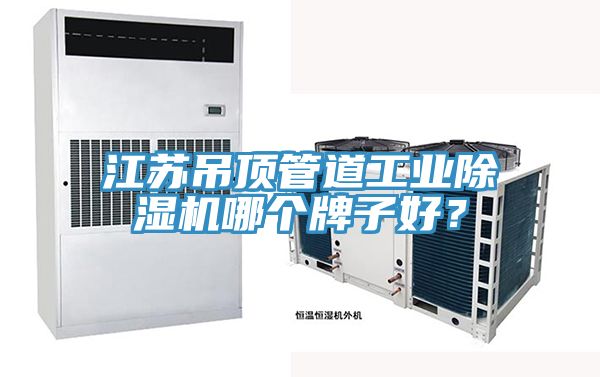 江蘇吊頂管道工業除濕機哪個牌子好？