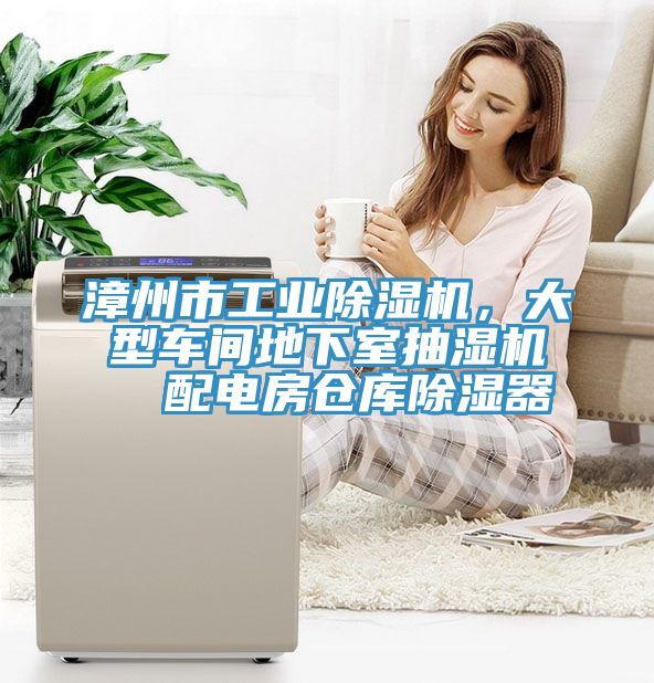 漳州市工業除濕機，大型車間地下室抽濕機  配電房倉庫除濕器