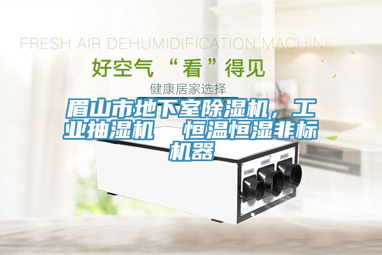 眉山市地下室除濕機，工業抽濕機  恒溫恒濕非標機器