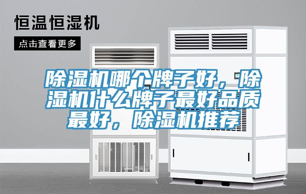 除濕機哪個牌子好，除濕機什么牌子最好品質最好，除濕機推薦