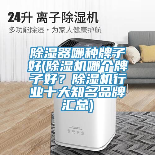 除濕器哪種牌子好(除濕機哪個牌子好？除濕機行業十大知名品牌匯總)