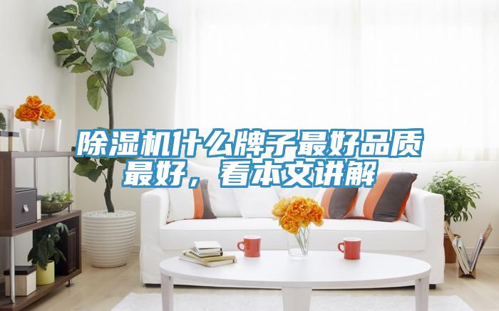 除濕機什么牌子最好品質最好,看本文講解