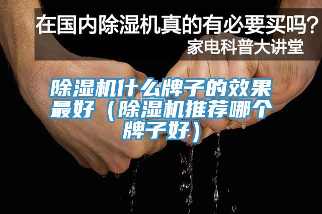 除濕機什么牌子的效果最好(除濕機推薦哪個牌子好)