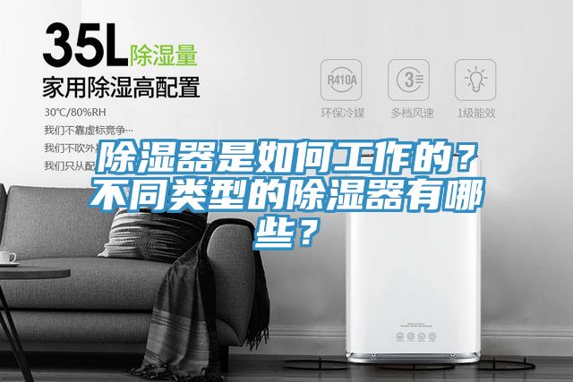除濕器是如何工作的？不同類型的除濕器有哪些？