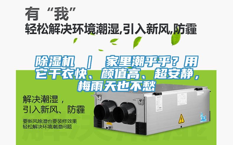 除濕機(jī) | 家里潮乎乎?用它干衣快、顏值高、超安靜,梅雨天也不愁