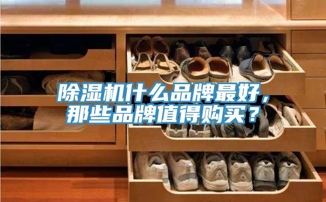 除濕機(jī)什么品牌最好，那些品牌值得購買？
