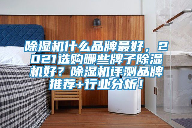 除濕機(jī)什么品牌最好，2021選購哪些牌子除濕機(jī)好？除濕機(jī)評測品牌推薦+行業(yè)分析！