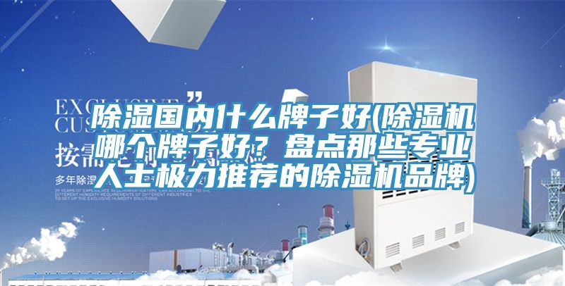 除濕國內什么牌子好(除濕機哪個牌子好？盤點那些專業人士極力推薦的除濕機品牌)
