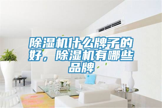 除濕機什么牌子的好,除濕機有哪些品牌