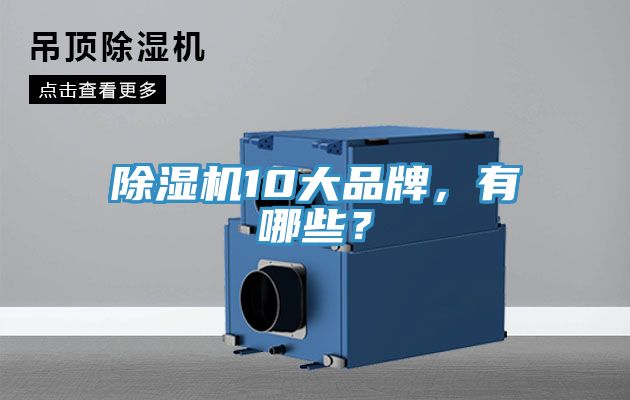 除濕機(jī)10大品牌,有哪些?