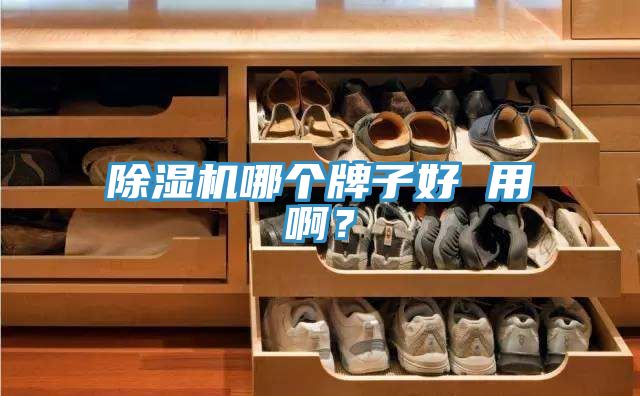 除濕機哪個牌子好 用啊？