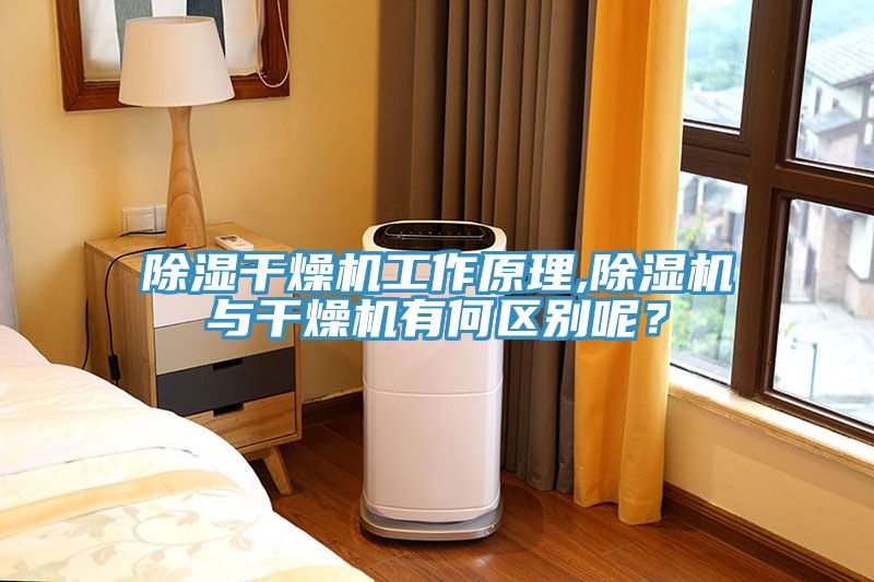 除濕干燥機工作原理,除濕機與干燥機有何區別呢?