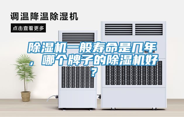 除濕機一般壽命是幾年,哪個牌子的除濕機好?