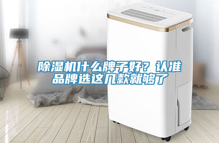 除濕機什么牌子好?認準品牌選這幾款就夠了