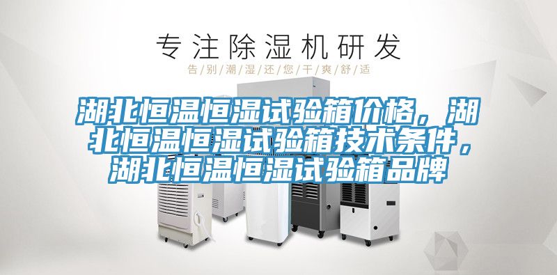 湖北恒溫恒濕試驗(yàn)箱價(jià)格，湖北恒溫恒濕試驗(yàn)箱技術(shù)條件，湖北恒溫恒濕試驗(yàn)箱品牌