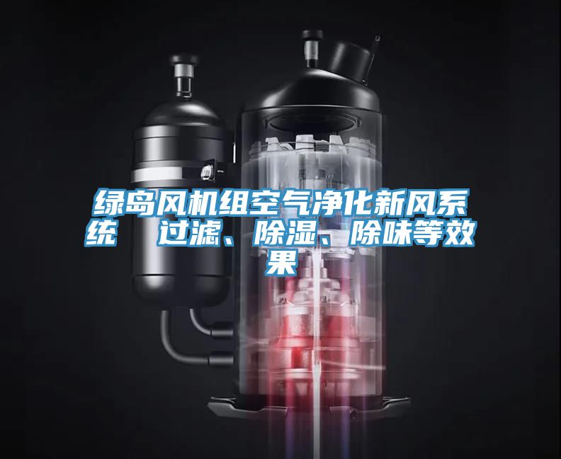 綠島風機組空氣凈化新風系統(tǒng)  過濾、除濕、除味等效果
