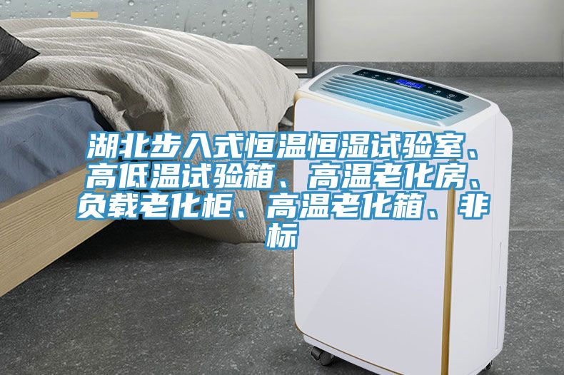 湖北步入式恒溫恒濕試驗(yàn)室、高低溫試驗(yàn)箱、高溫老化房、負(fù)載老化柜、高溫老化箱、非標(biāo)