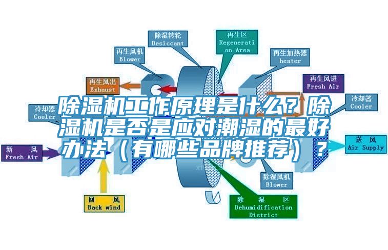 除濕機工作原理是什么？除濕機是否是應對潮濕的最好辦法（有哪些品牌推薦）？