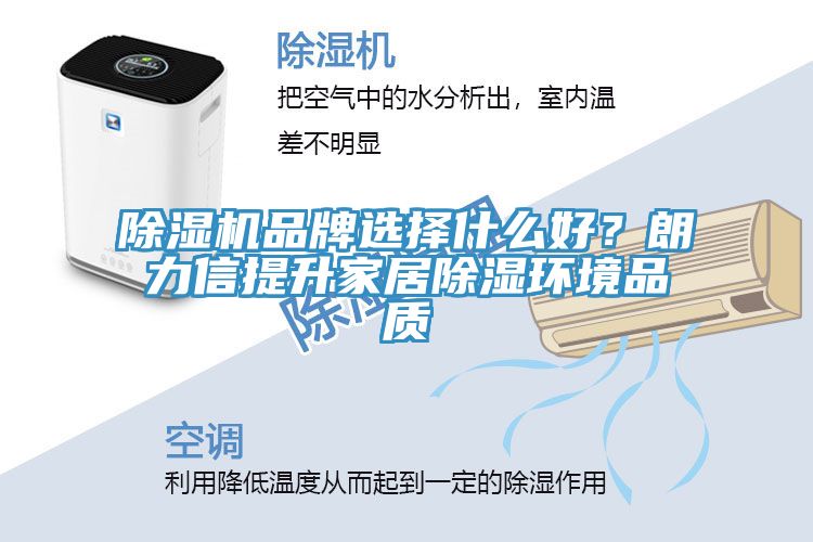 除濕機(jī)品牌選擇什么好?朗力信提升家居除濕環(huán)境品質(zhì)