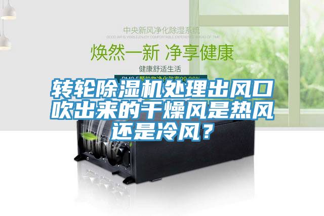 轉輪除濕機處理出風口吹出來的干燥風是熱風還是冷風?