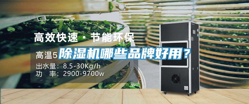 除濕機哪些品牌好用？